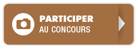 btn_concours